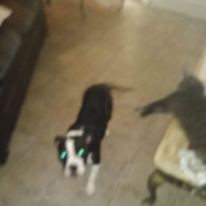 Meet your Posher, Julio